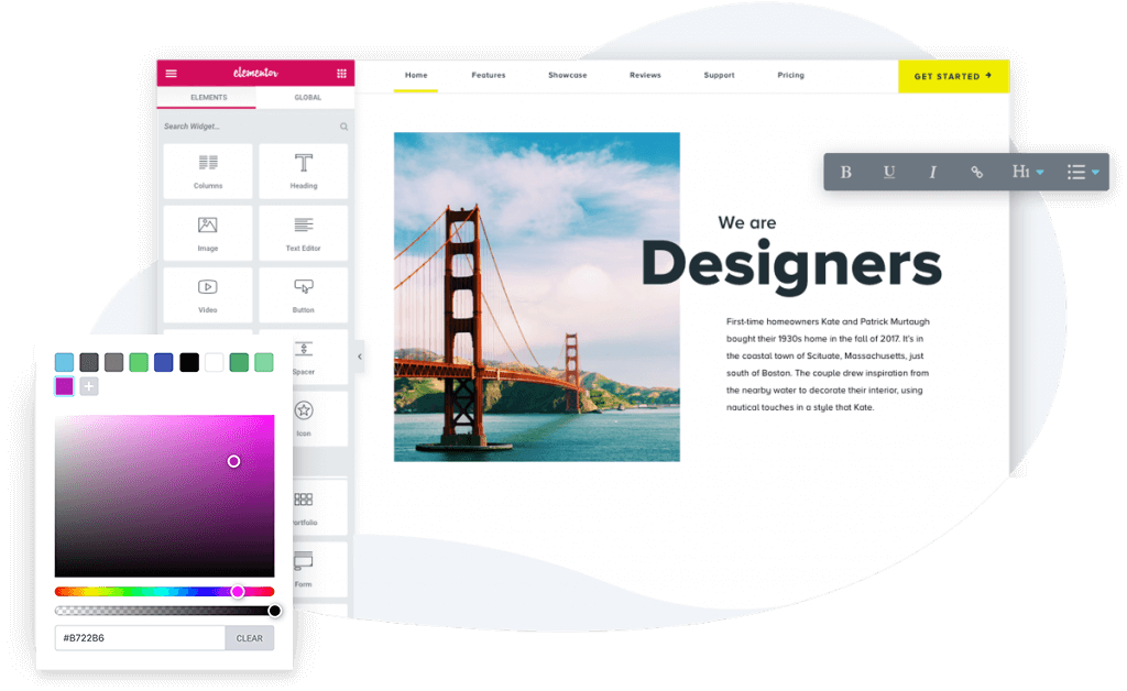Elementor WordPress WYSIWYG Visual Editor
